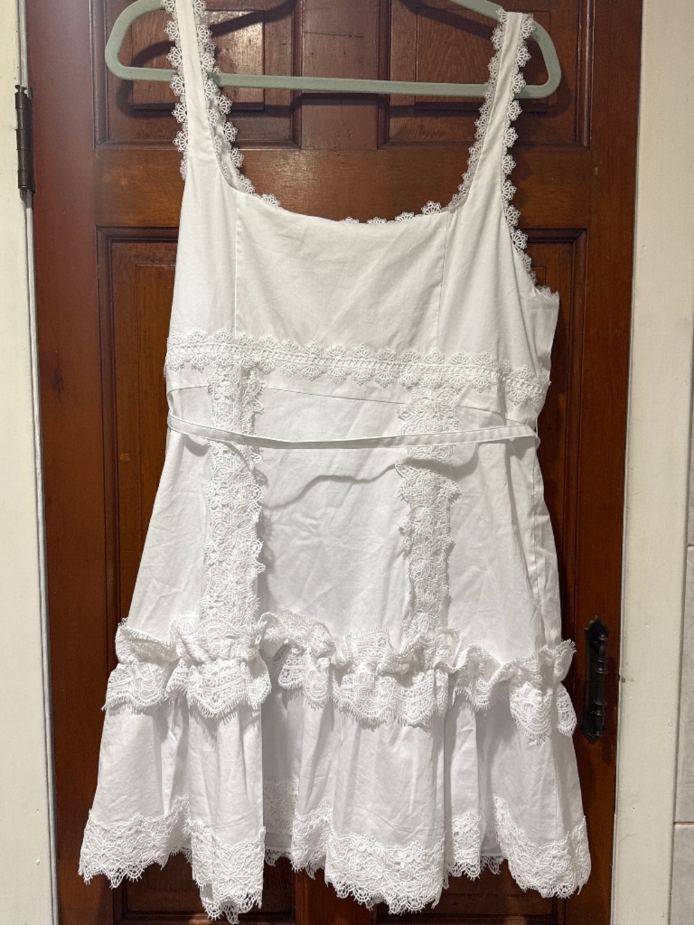 Aziza Embellished Button-Front Mini Dress - Picture 6 of 6